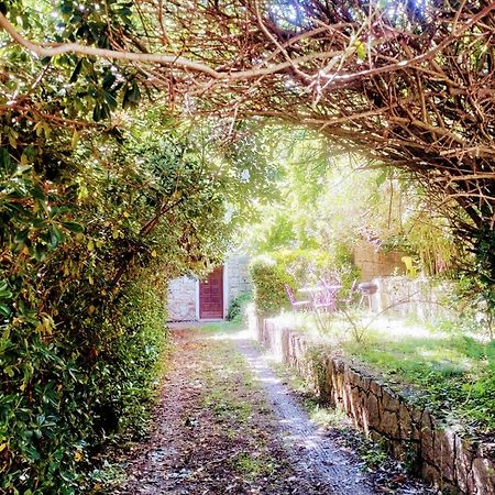 A Pivarella Grosseto-Prugna Esterno foto