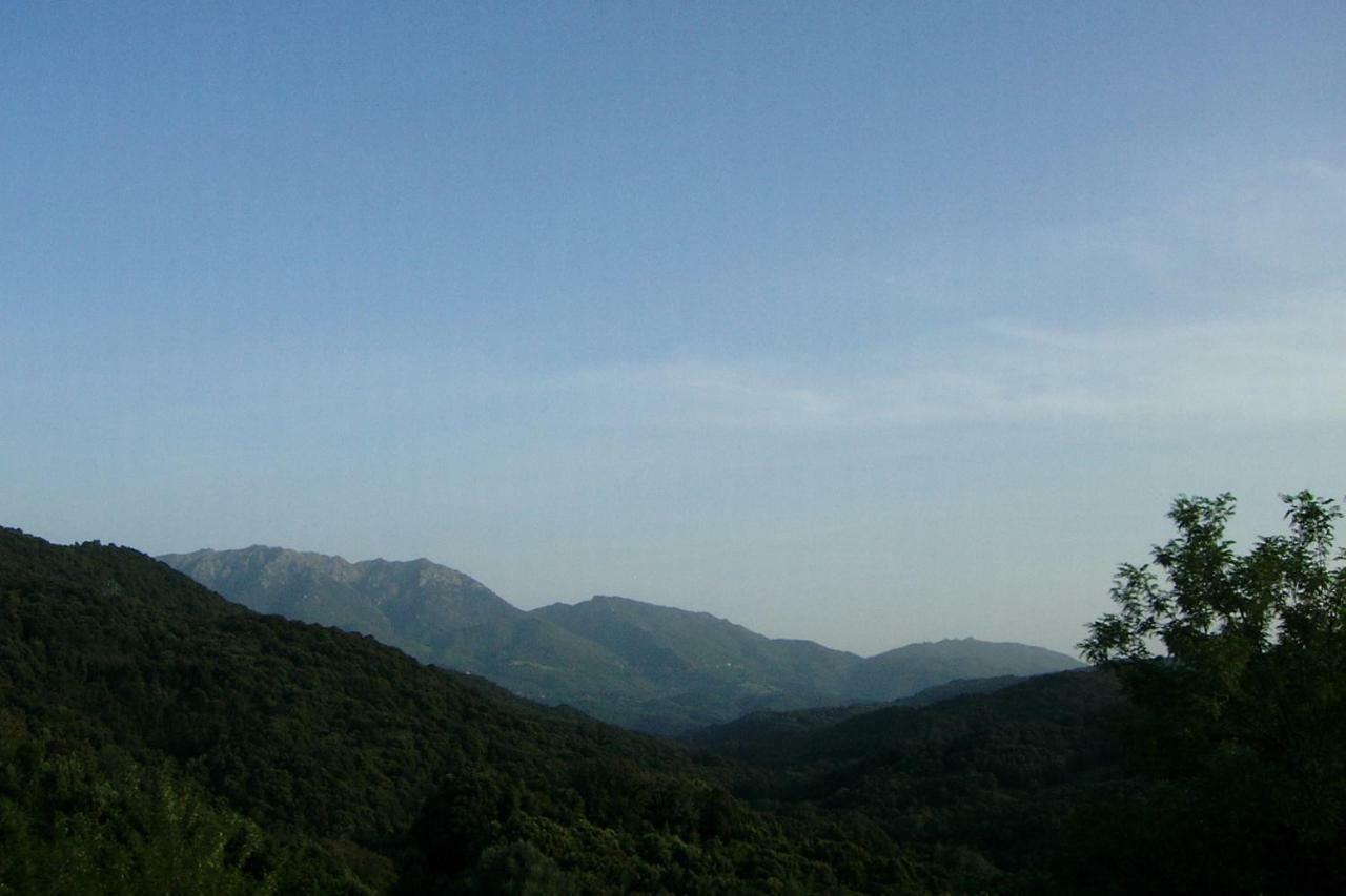 A Pivarella Grosseto-Prugna Esterno foto